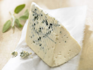 what is gorgonzola