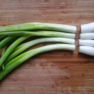 vs chives onion ingredients scallions shallot difference
