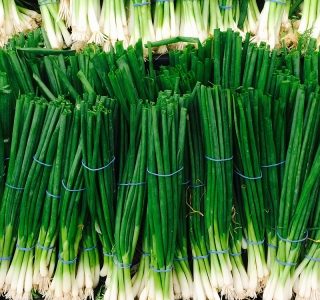 Scallions vs Green Onions